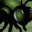 The Five Shades icon