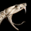 Snakes on a Plane icon